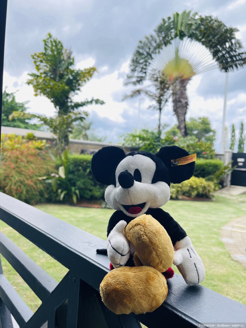 Микки в Port of Spain, Trinidad and Tobago, отель Marriott💖💖💖😆