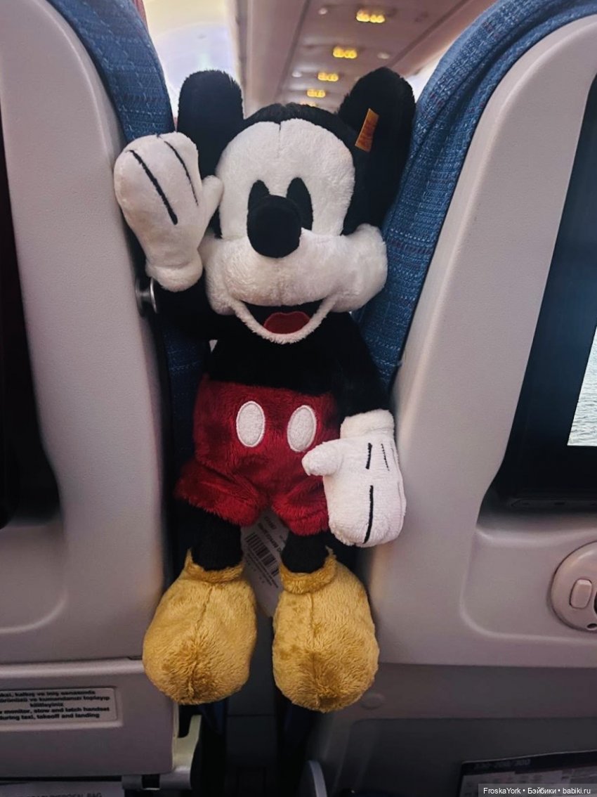 Микки в Port of Spain, Trinidad and Tobago, отель Marriott💖💖💖😆 (фото 7)