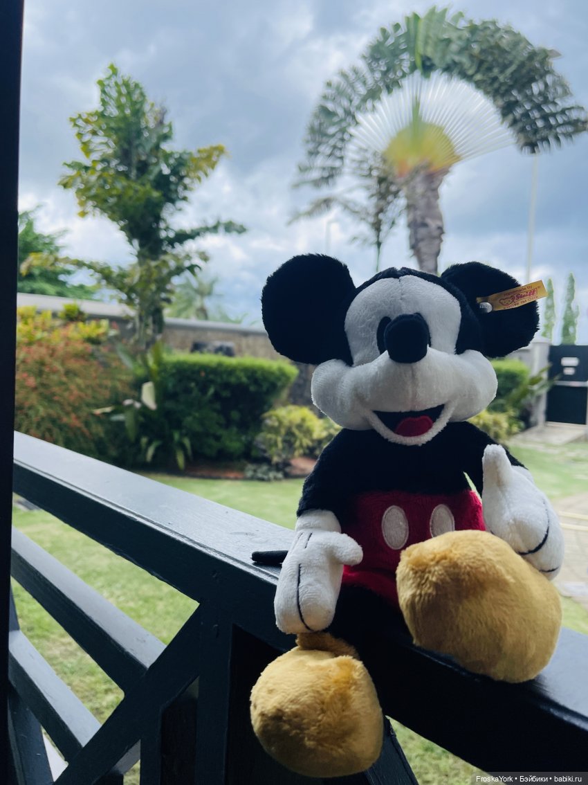 Микки в Port of Spain, Trinidad and Tobago, отель Marriott💖💖💖😆 (фото 4)