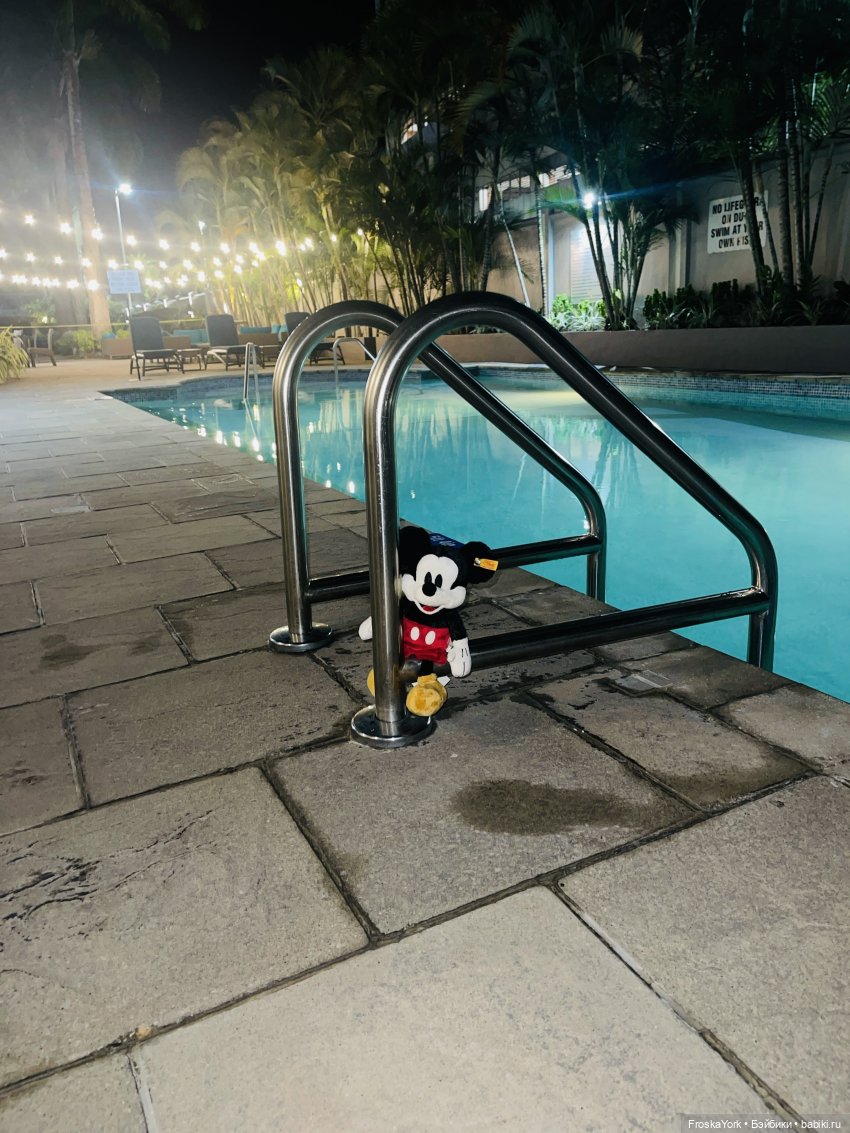 Микки в Port of Spain, Trinidad and Tobago, отель Marriott💖💖💖😆 (фото 3)