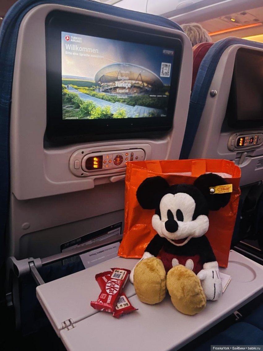 Микки в Port of Spain, Trinidad and Tobago, отель Marriott💖💖💖😆 (фото 6)