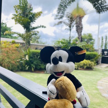 Микки в Port of Spain, Trinidad and Tobago, отель Marriott💖💖💖😆