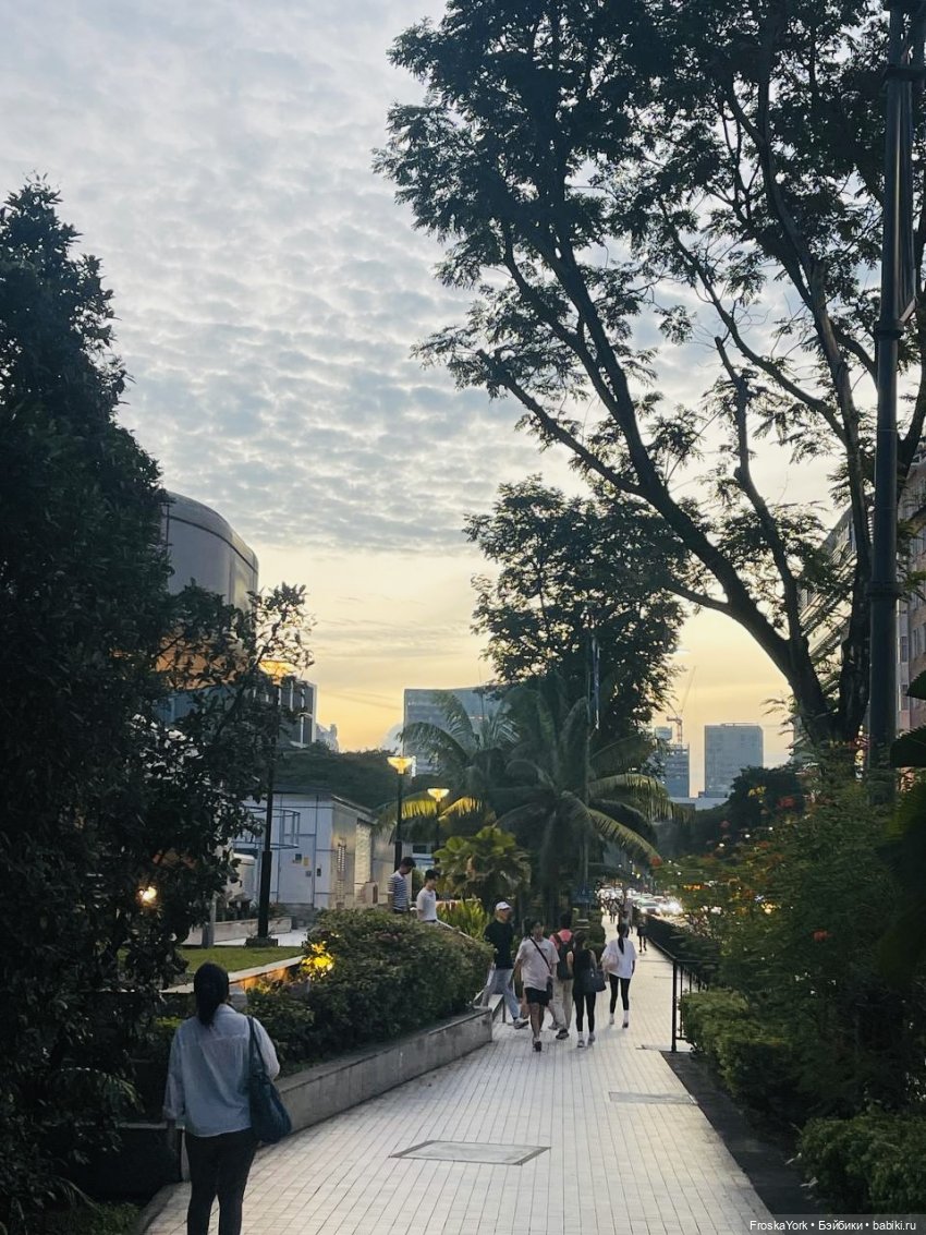 Mokoko летят домой💖💖💖 — Игрушки Labubu (Лабубу) и The Monsters: Pop Mart