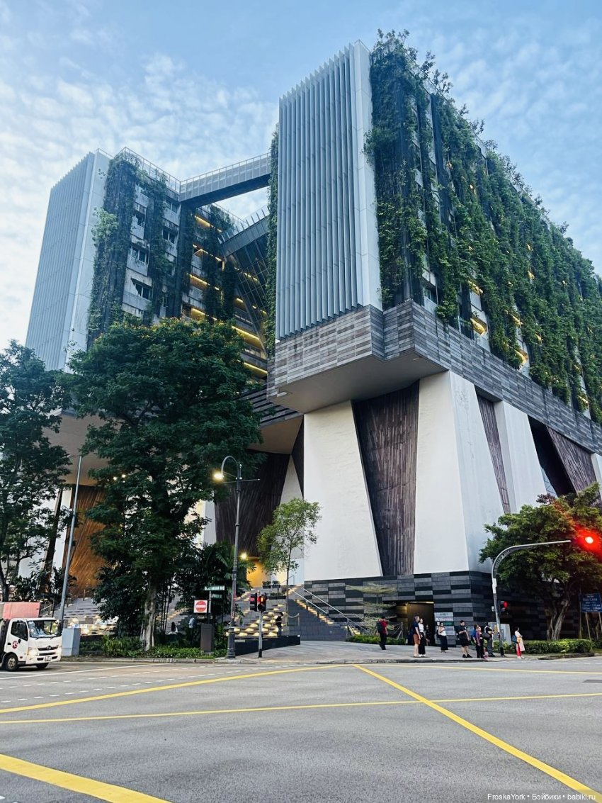 Mokoko летят домой💖💖💖 — Игрушки Labubu (Лабубу) и The Monsters: Pop Mart (фото 9)