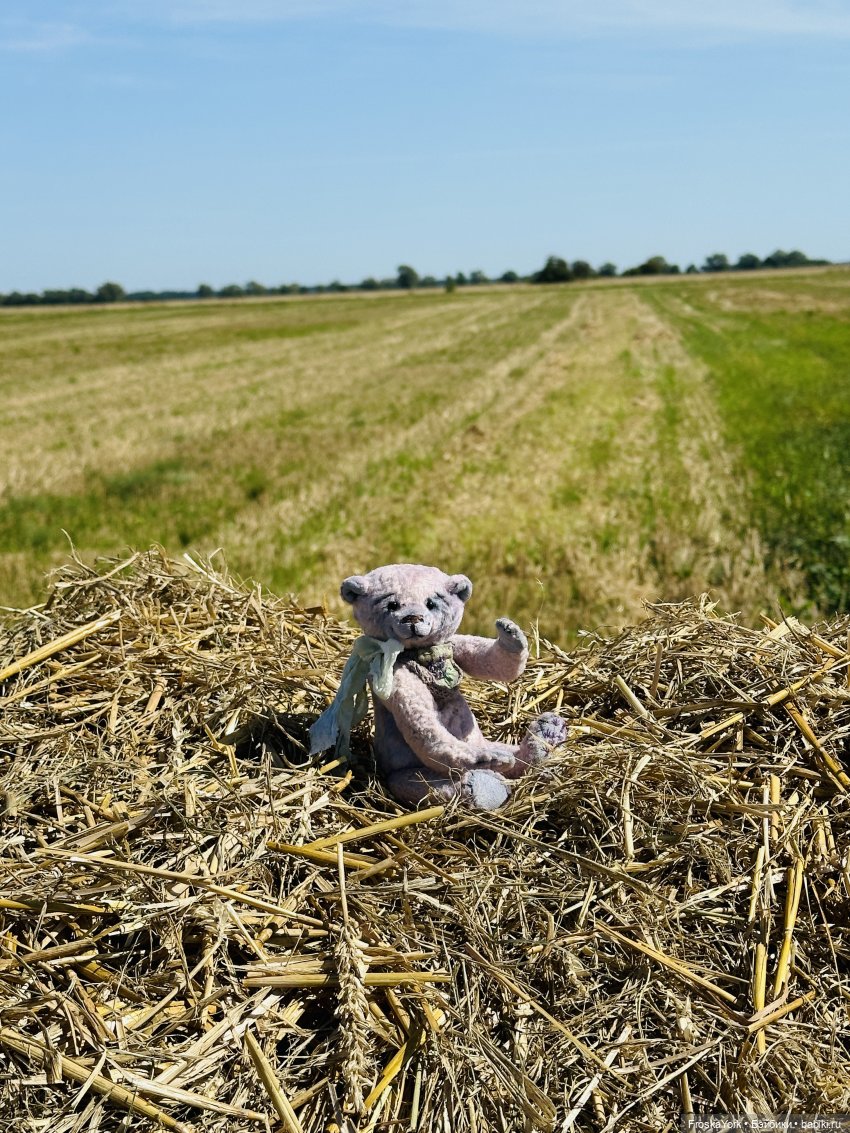 Лето мишки Лав💖💖💖 — Домашние фото авторских игрушек: Тедди (фото 2)