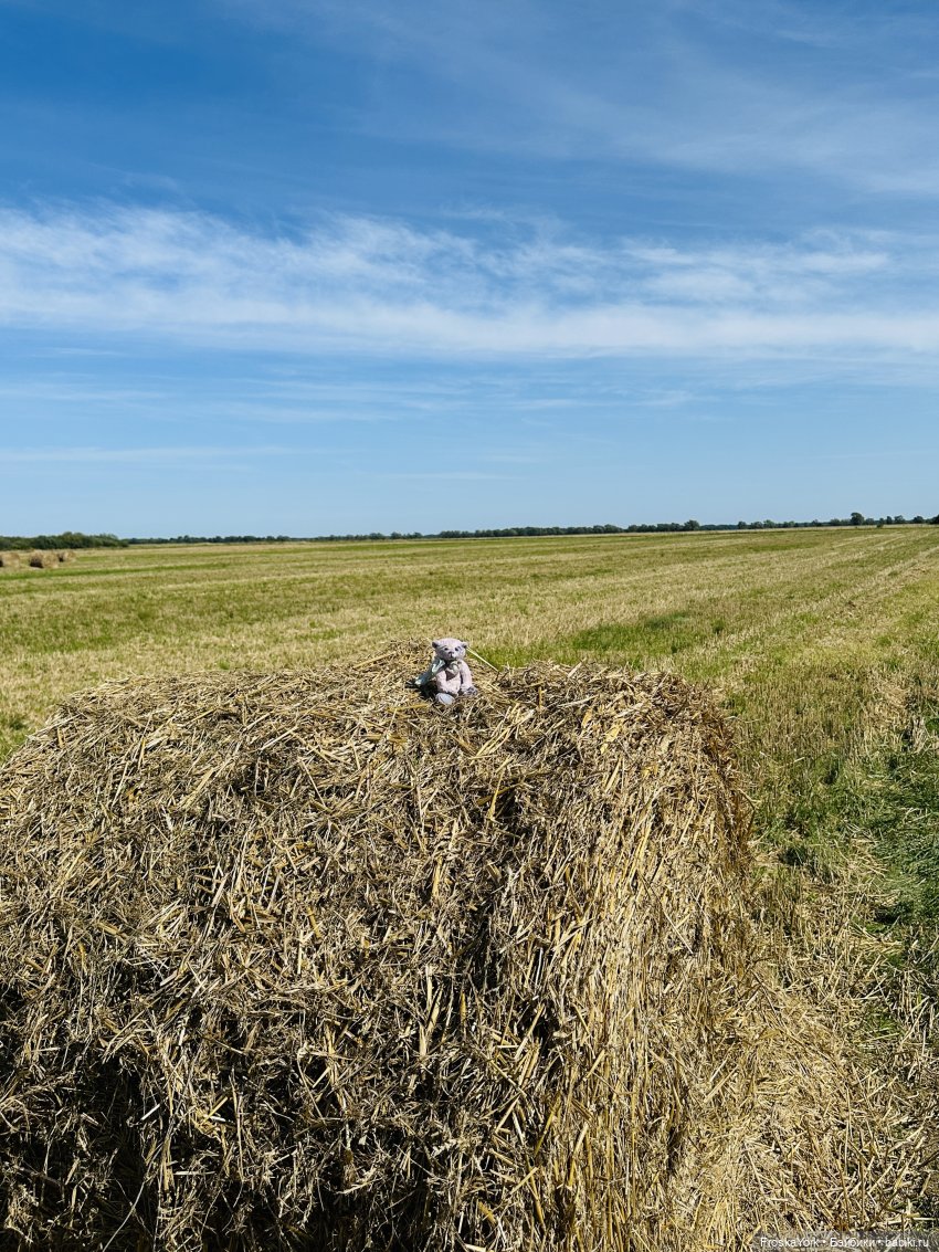 Лето мишки Лав💖💖💖 — Домашние фото авторских игрушек: Тедди