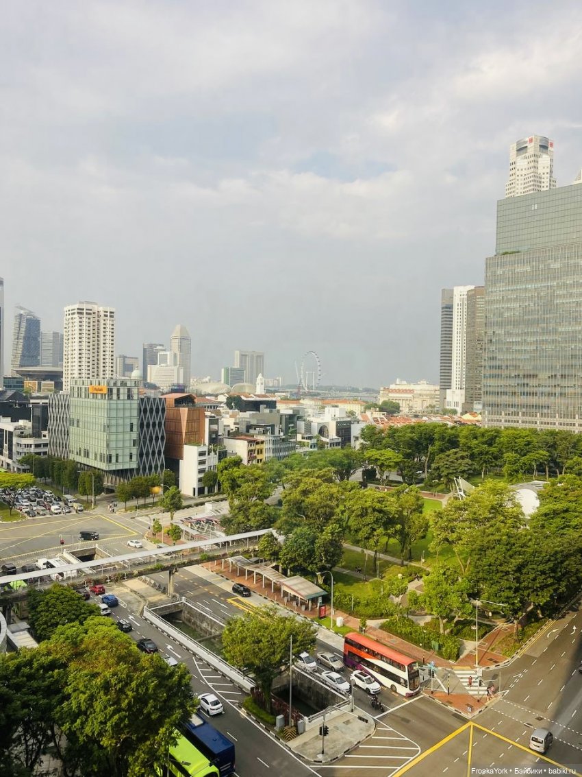 Mokoko летят домой💖💖💖 — Игрушки Labubu (Лабубу) и The Monsters: Pop Mart