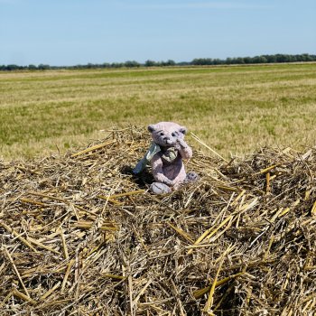 Лето мишки Лав💖💖💖