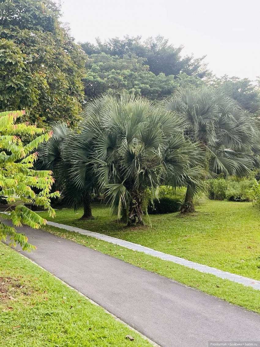 Mokoko летят домой💖💖💖 — Игрушки Labubu (Лабубу) и The Monsters: Pop Mart (фото 3)