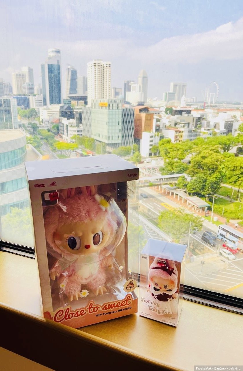 Mokoko летят домой💖💖💖 — Игрушки Labubu (Лабубу) и The Monsters: Pop Mart