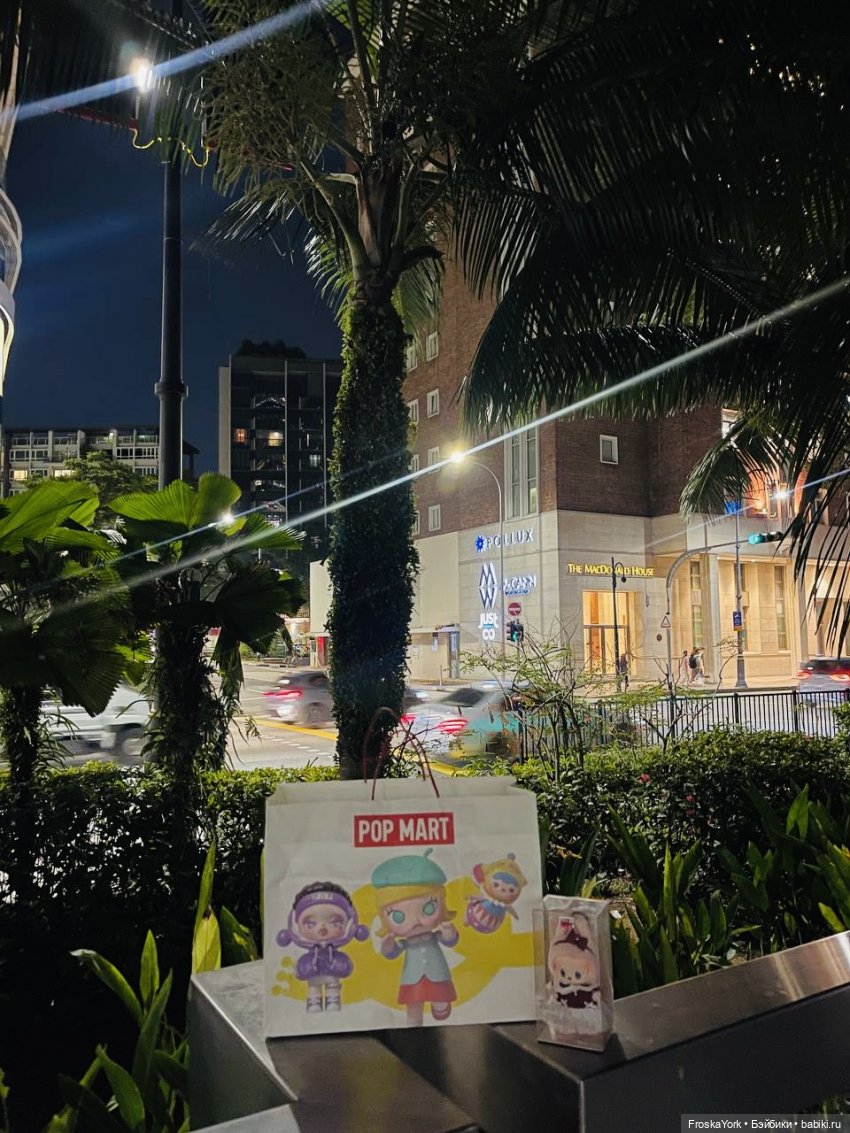 Mokoko летят домой💖💖💖 — Игрушки Labubu (Лабубу) и The Monsters: Pop Mart