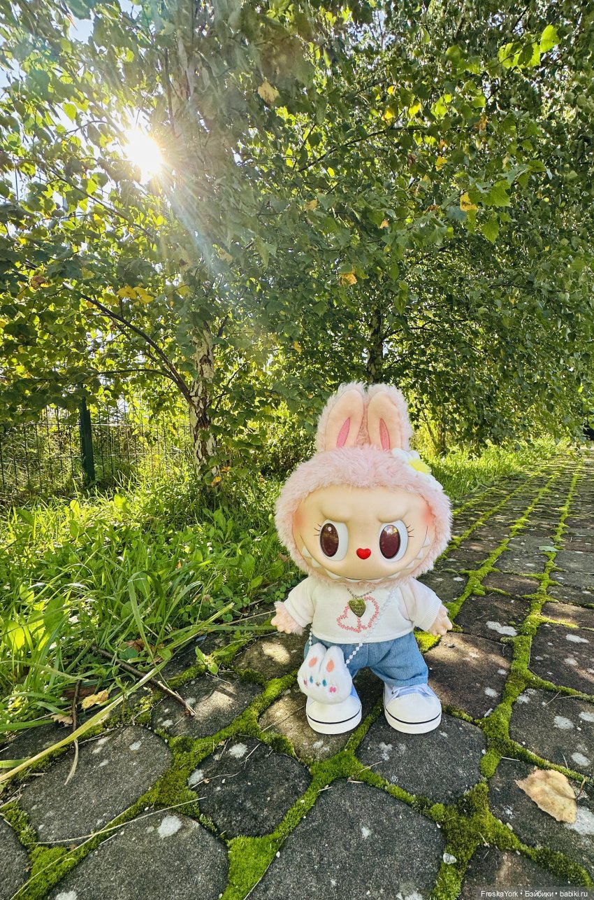 Настроение - Mokoko😁🍁🥰 — Игрушки Labubu (Лабубу) и The Monsters: Pop Mart (фото 9)