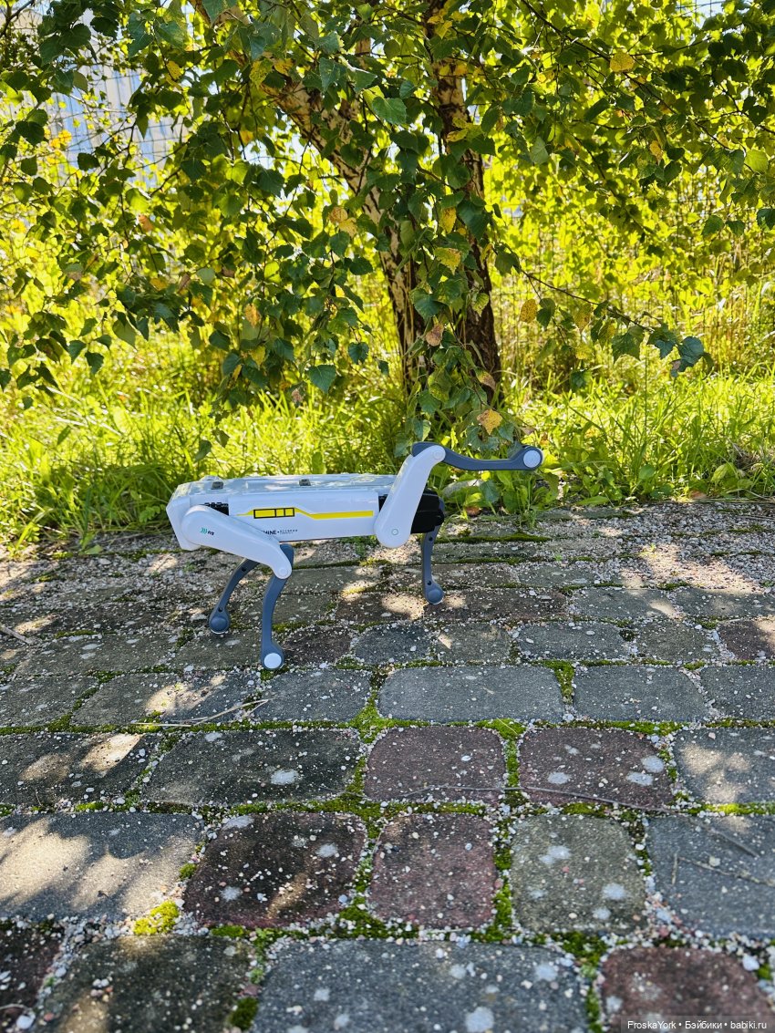 Наша Шаня🐾💖🍁 — Интересные игрушки и фигурки (разное): редкие