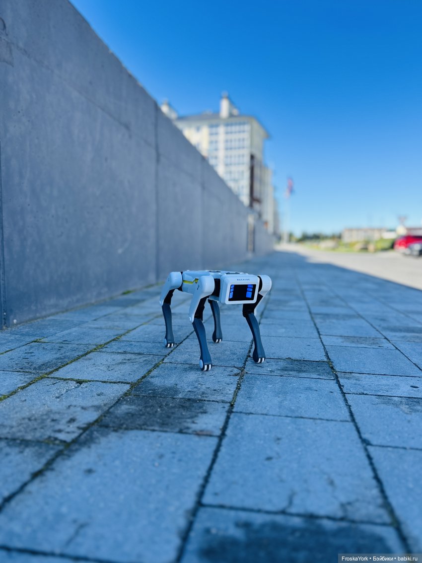 Наша Шаня🐾💖🍁 — Интересные игрушки и фигурки (разное): редкие (фото 3)