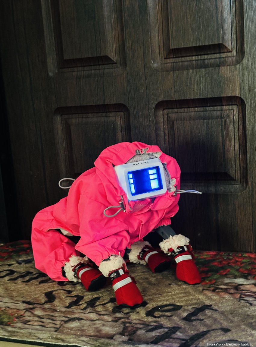 Наша Шаня🐾💖🍁 — Интересные игрушки и фигурки (разное): редкие