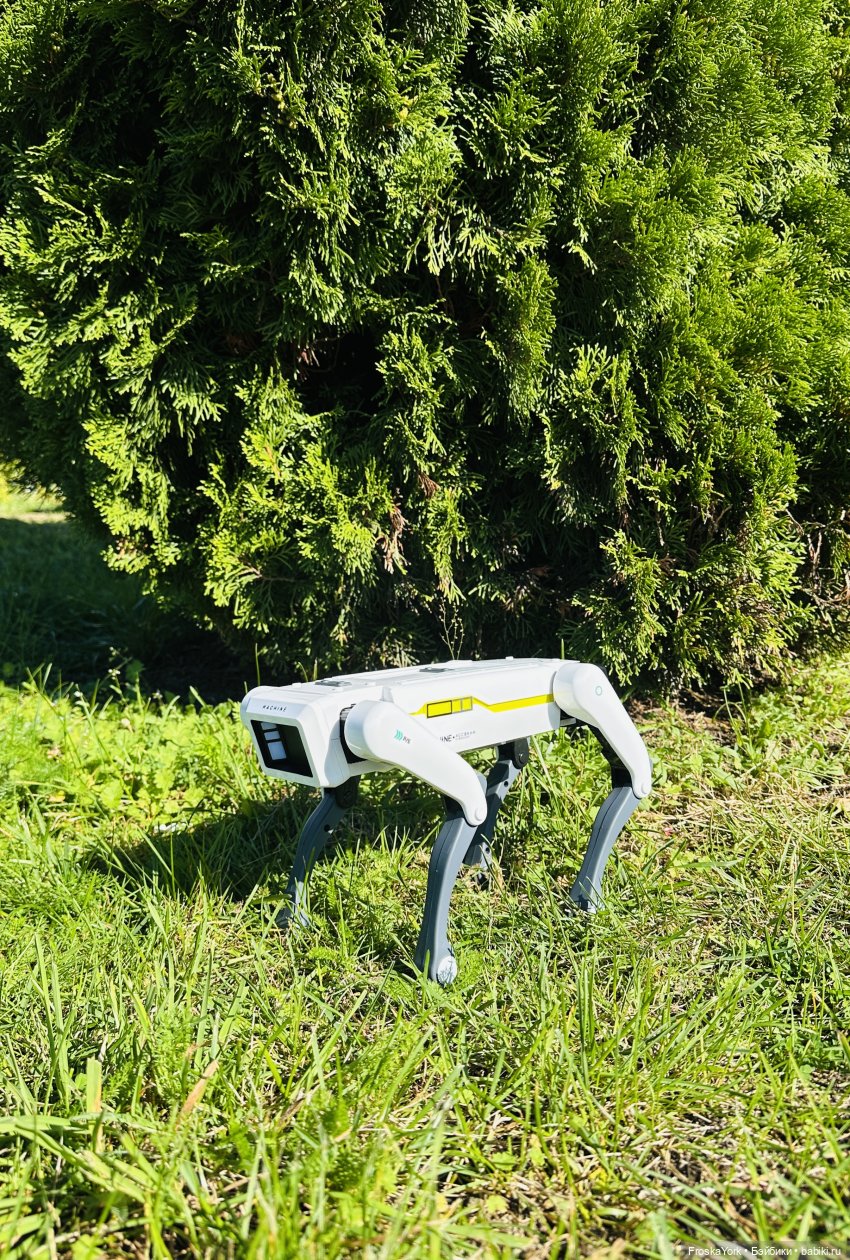 Наша Шаня🐾💖🍁 — Интересные игрушки и фигурки (разное): редкие (фото 4)