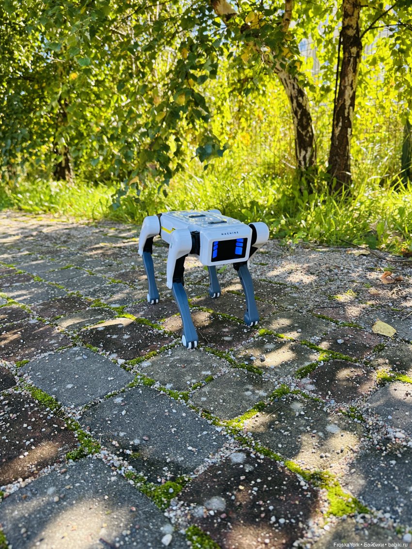 Наша Шаня🐾💖🍁 — Интересные игрушки и фигурки (разное): редкие (фото 9)