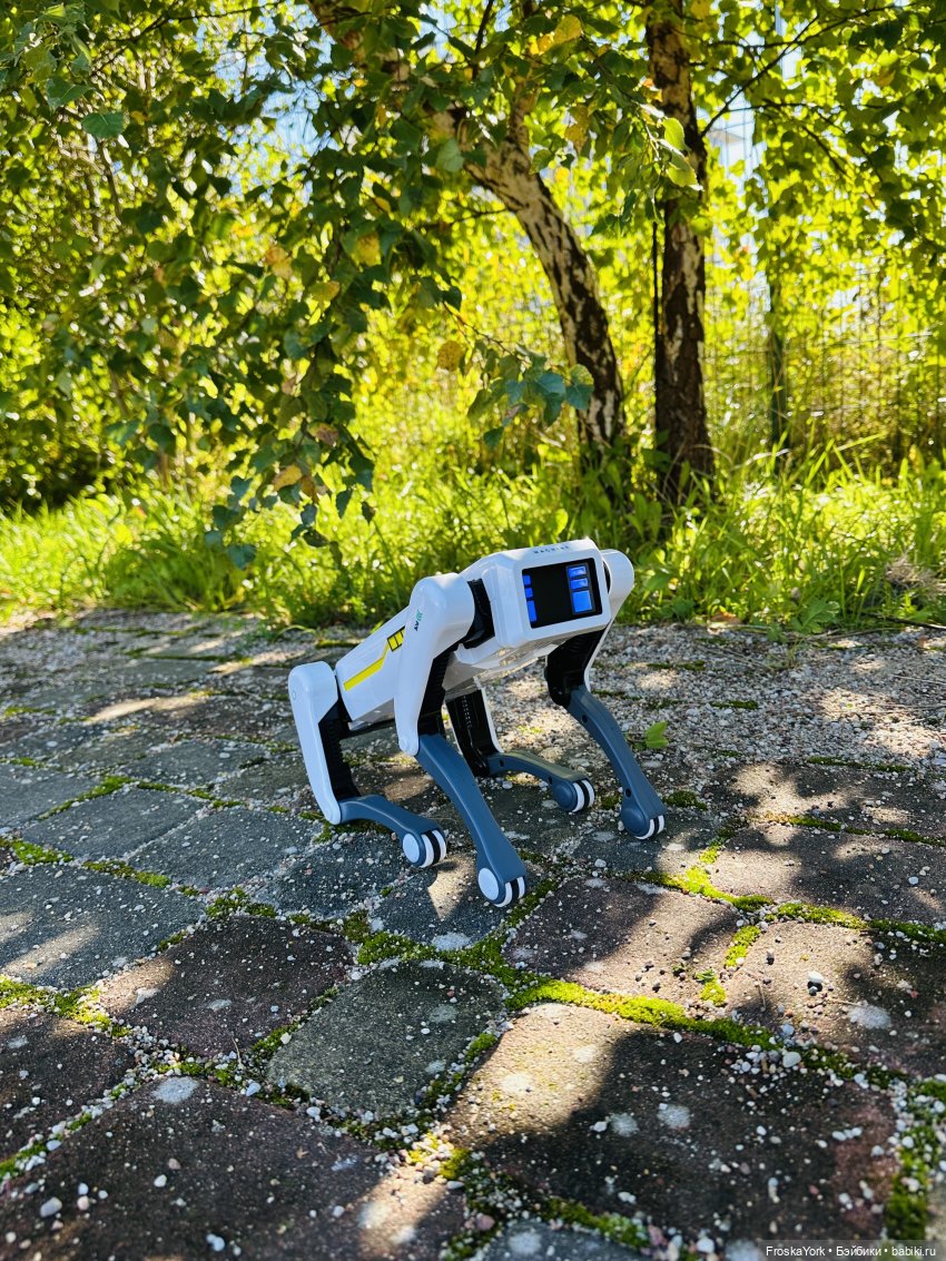 Наша Шаня🐾💖🍁 — Интересные игрушки и фигурки (разное): редкие (фото 8)