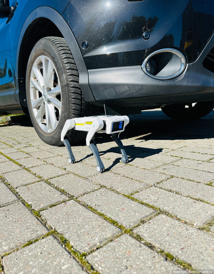 Наша Шаня🐾💖🍁 — Интересные игрушки и фигурки (разное): редкие