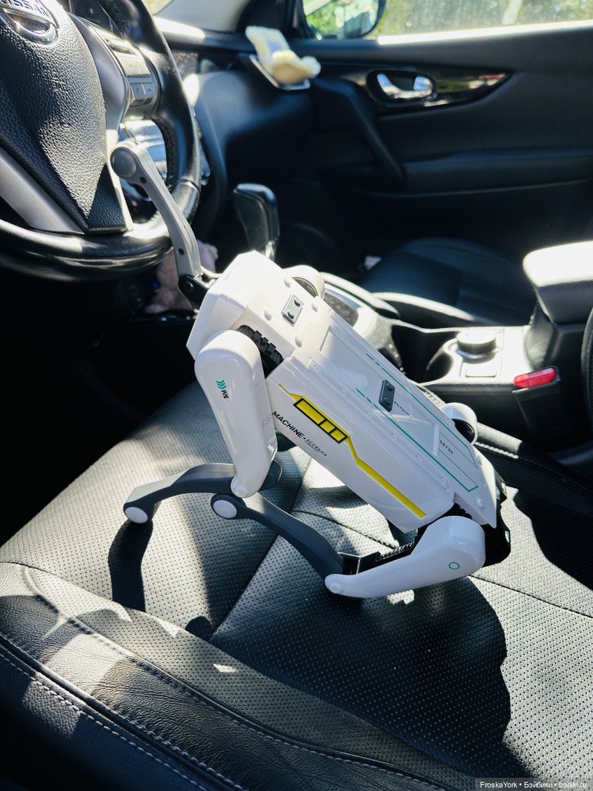 Наша Шаня🐾💖🍁 — Интересные игрушки и фигурки (разное): редкие