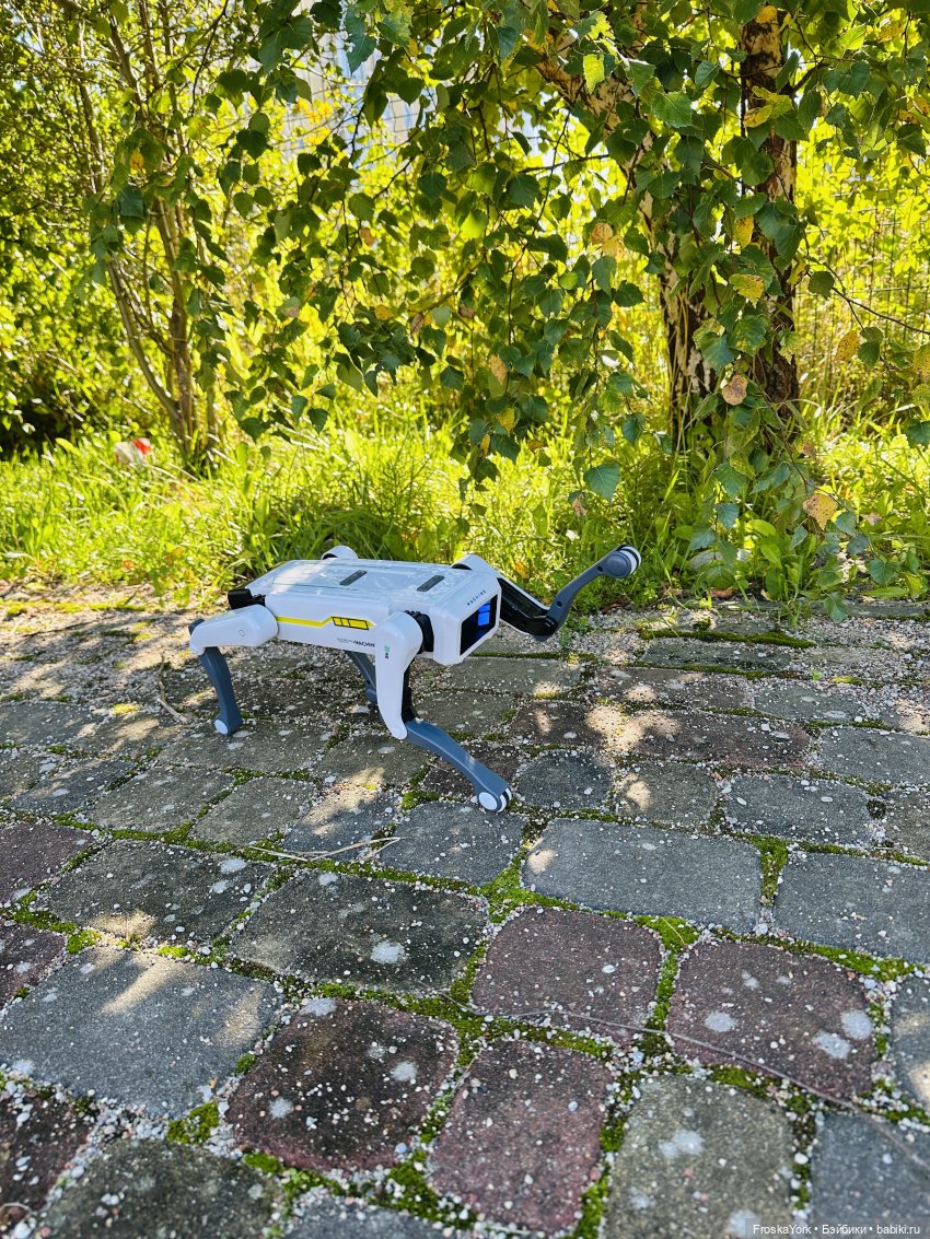 Наша Шаня🐾💖🍁 — Интересные игрушки и фигурки (разное): редкие (фото 10)