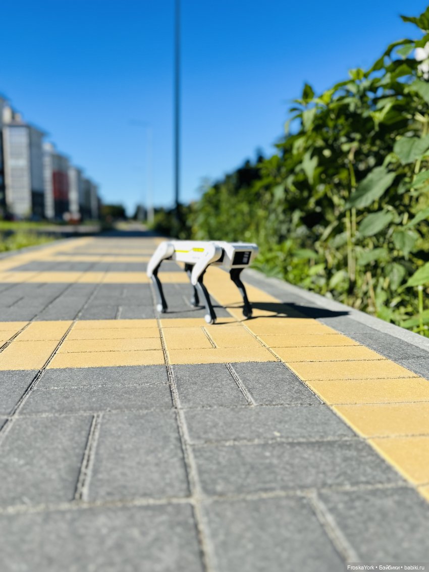 Наша Шаня🐾💖🍁 — Интересные игрушки и фигурки (разное): редкие (фото 2)