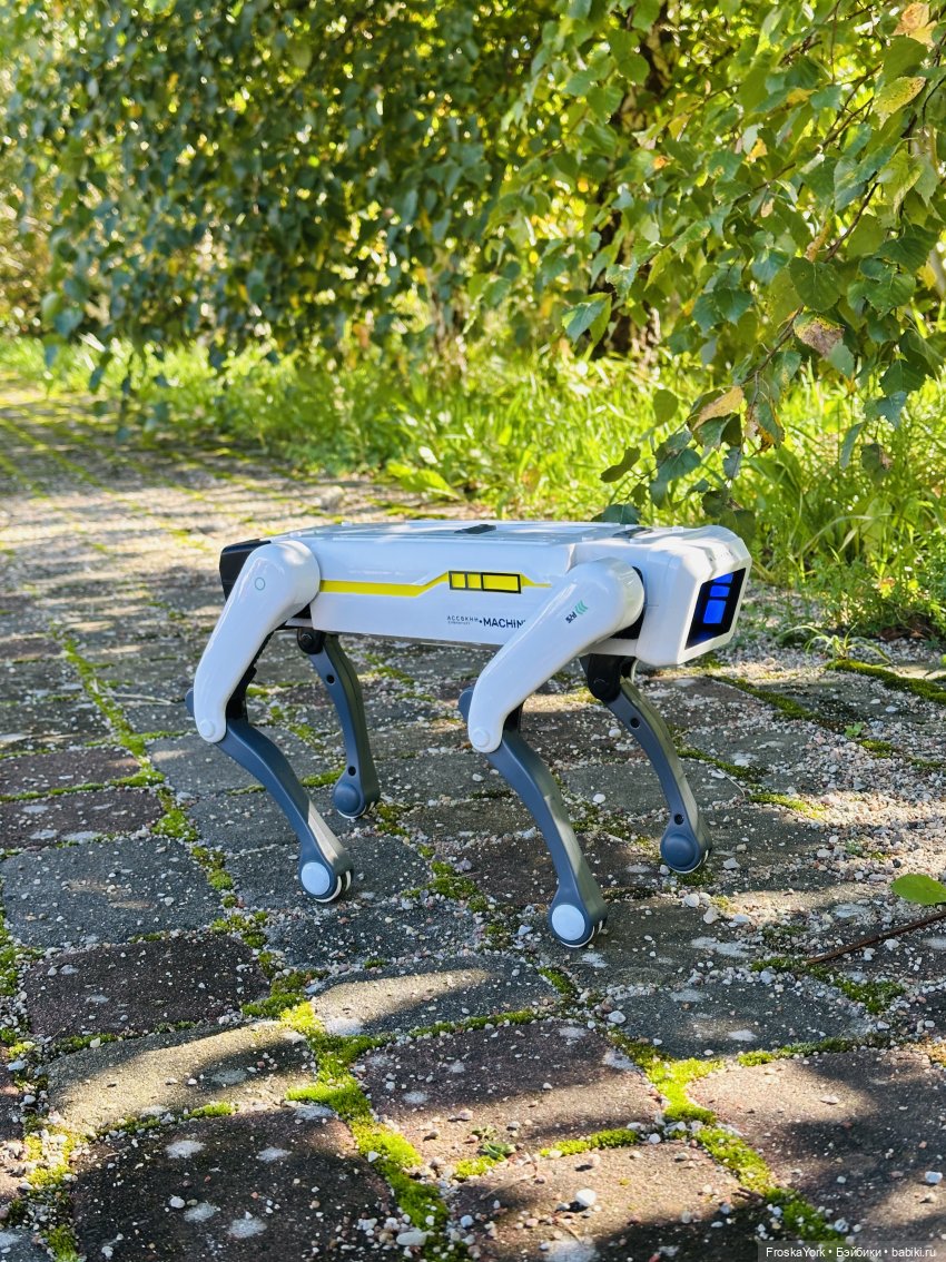 Наша Шаня🐾💖🍁 — Интересные игрушки и фигурки (разное): редкие (фото 7)