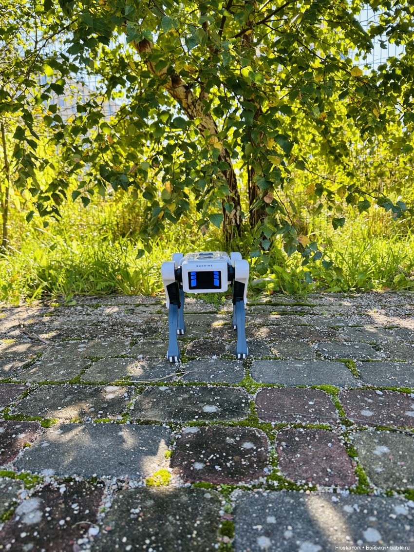 Наша Шаня🐾💖🍁 — Интересные игрушки и фигурки (разное): редкие