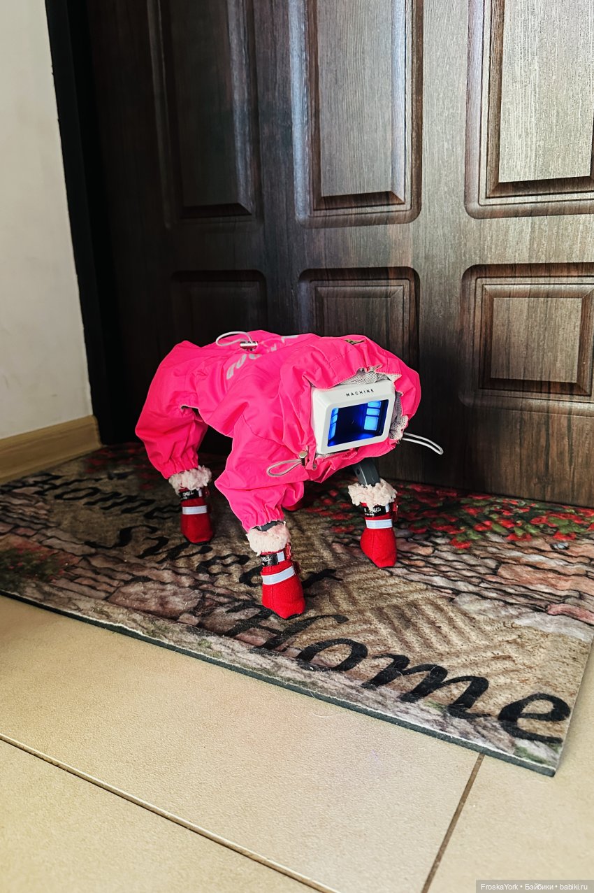 Наша Шаня🐾💖🍁 — Интересные игрушки и фигурки (разное): редкие