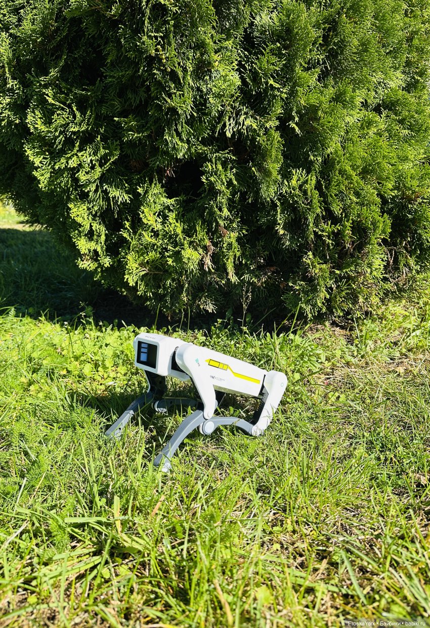 Наша Шаня🐾💖🍁 — Интересные игрушки и фигурки (разное): редкие (фото 5)