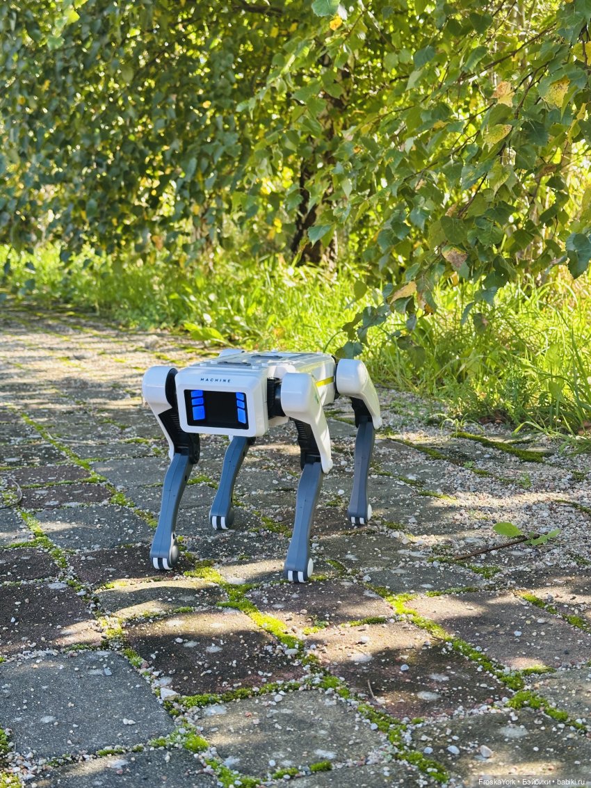 Наша Шаня🐾💖🍁 — Интересные игрушки и фигурки (разное): редкие (фото 6)