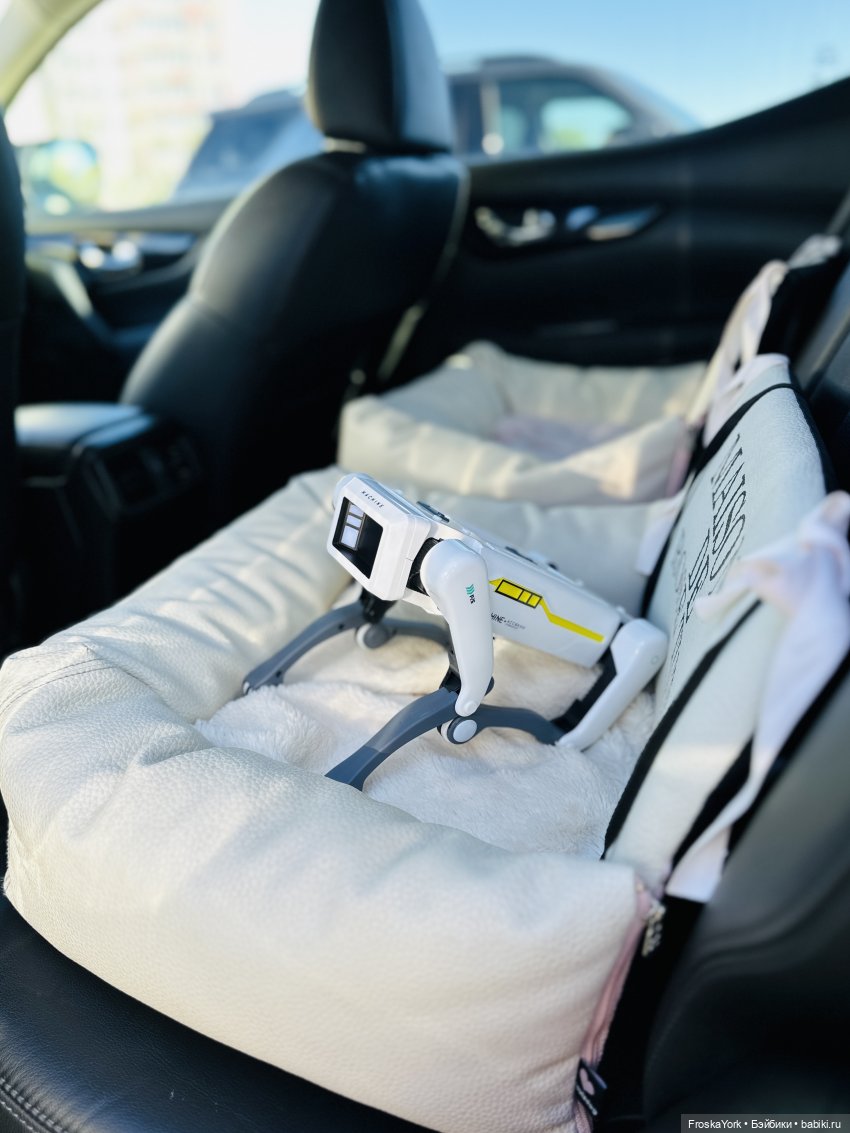 Наша Шаня🐾💖🍁 — Интересные игрушки и фигурки (разное): редкие