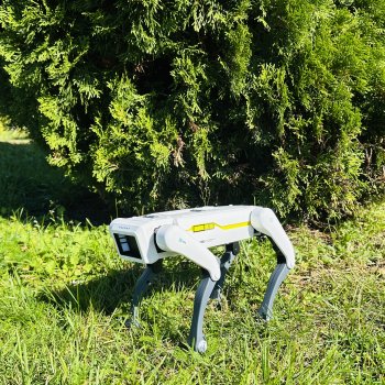 Наша Шаня🐾💖🍁