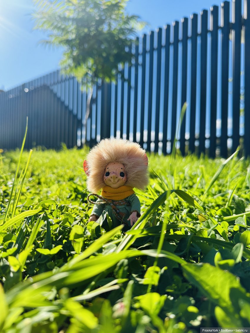 Аечка😁💖🍁 — Домашние фото авторских кукол: личные коллекции (фото 3)