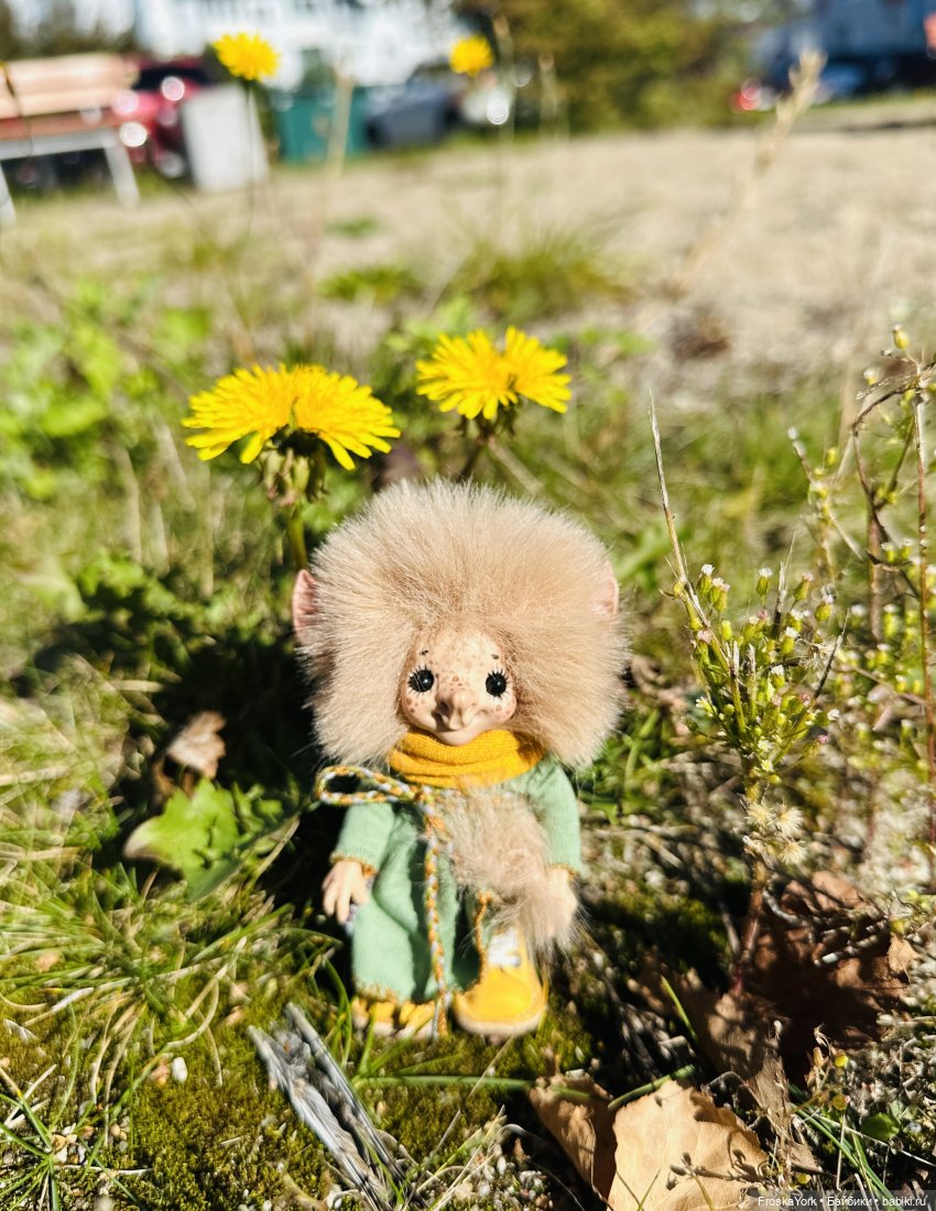 Аечка😁💖🍁 — Домашние фото авторских кукол: личные коллекции (фото 8)