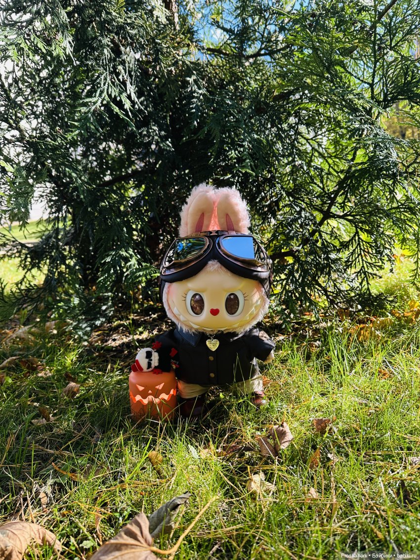 Как мы тыквочки искали😁🍁🐾 (фото 10)