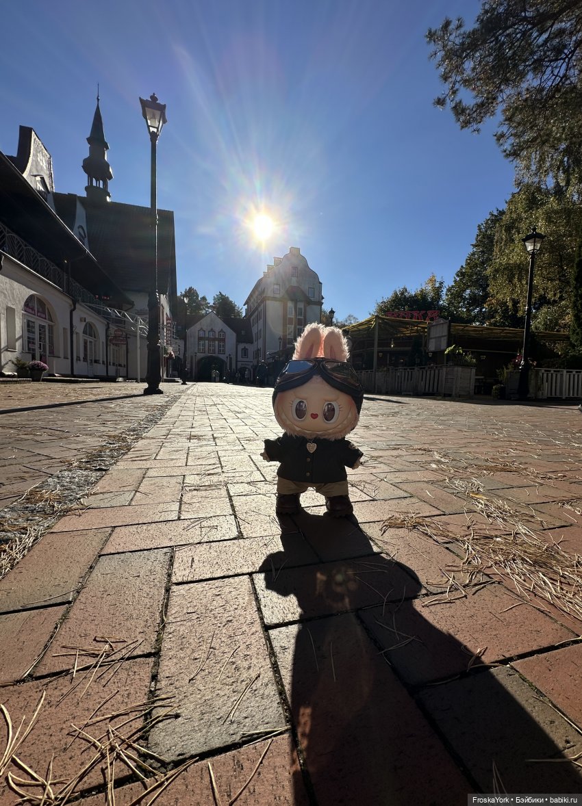 Как мы тыквочки искали😁🍁🐾