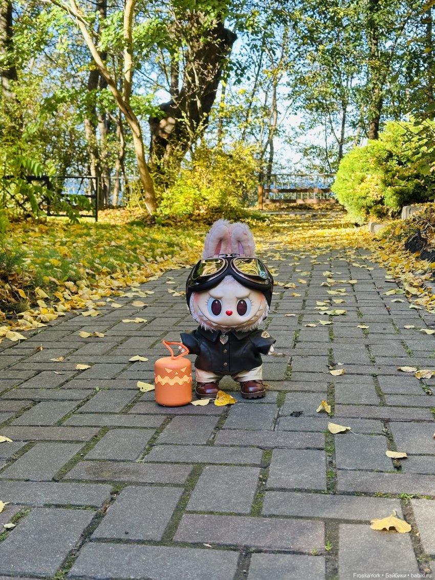 Как мы тыквочки искали😁🍁🐾 (фото 2)