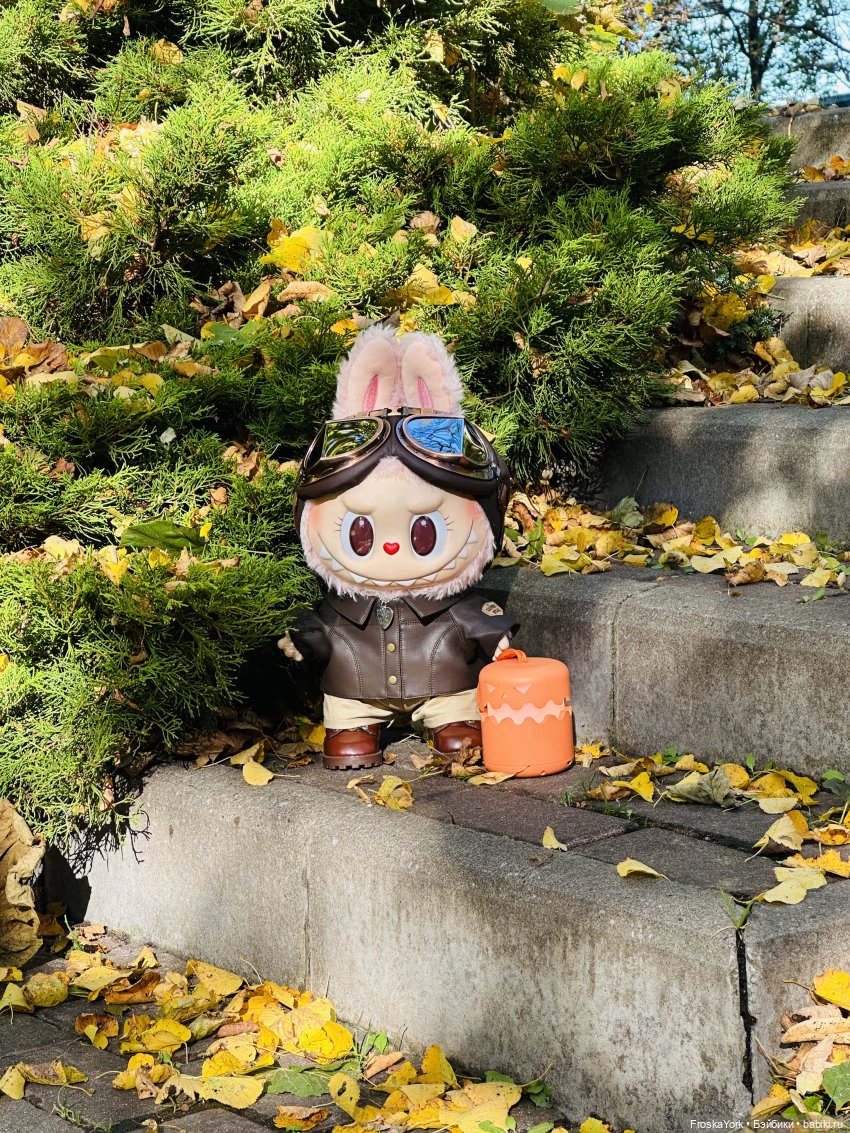 Как мы тыквочки искали😁🍁🐾 (фото 3)