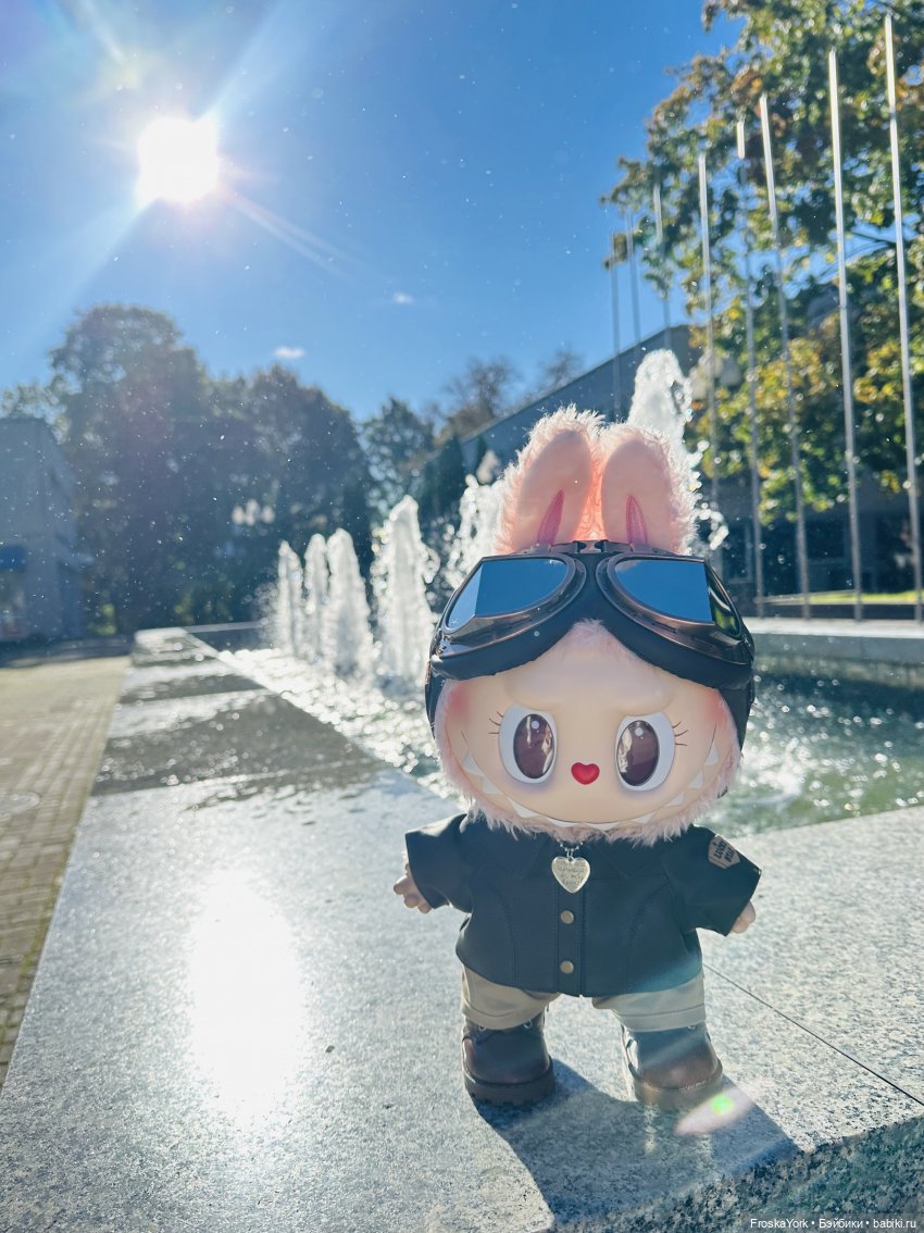 Как мы тыквочки искали😁🍁🐾