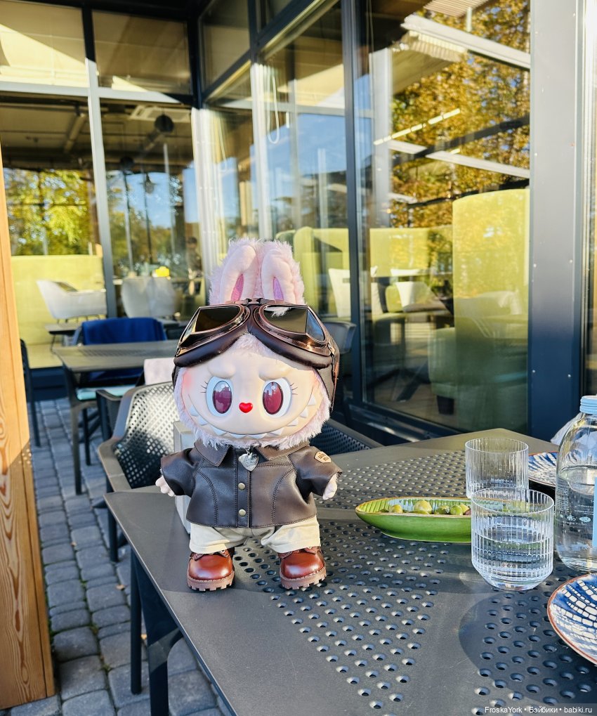 Как мы тыквочки искали😁🍁🐾 (фото 9)