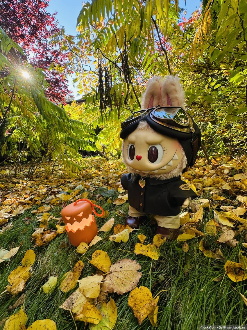 Как мы тыквочки искали😁🍁🐾 (фото 5)