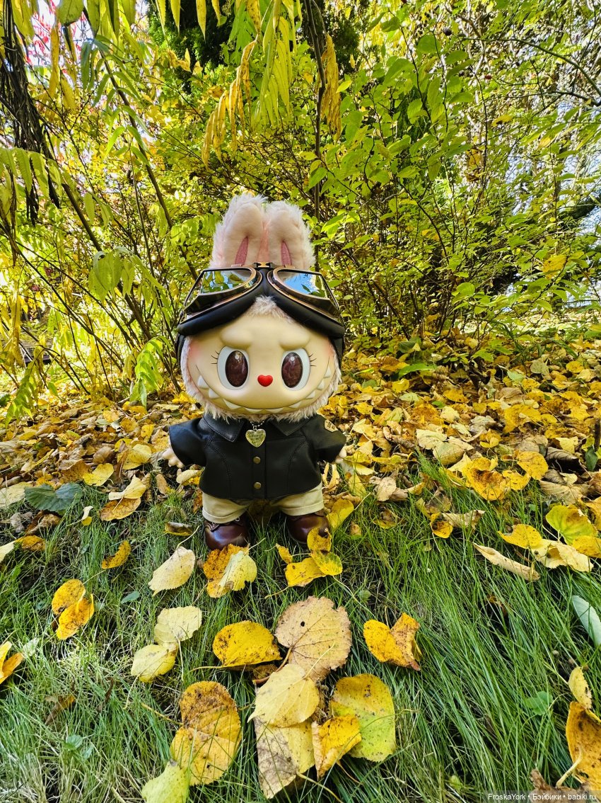 Как мы тыквочки искали😁🍁🐾 (фото 4)