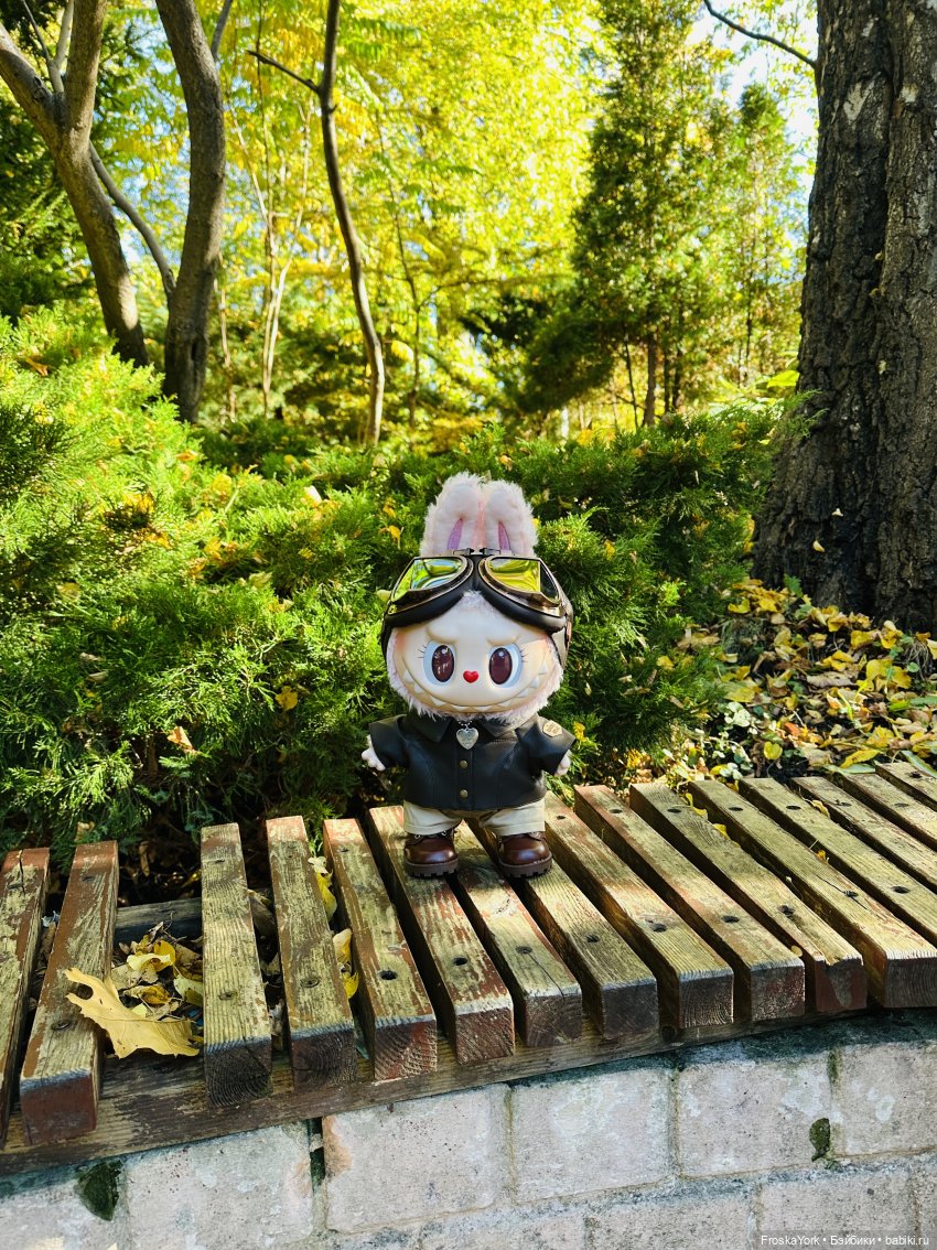 Как мы тыквочки искали😁🍁🐾 (фото 6)