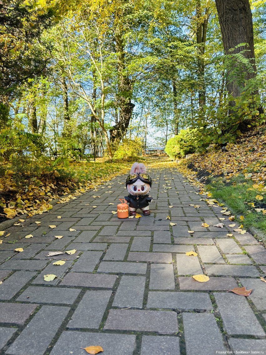 Как мы тыквочки искали😁🍁🐾