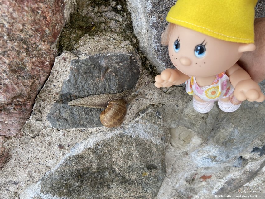 Приключения Сауле в Вильнюсе. Продолжение 2 часть (фото 5)