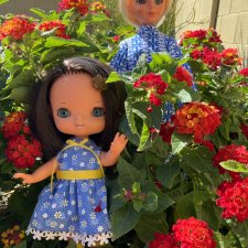 Редкие красотки от Goebel