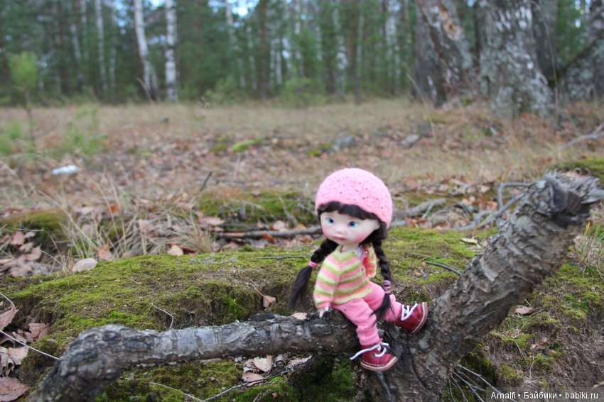 Прогулки с малышами ч.2. Моя Mei-baby Nikki Britt (фото 5)