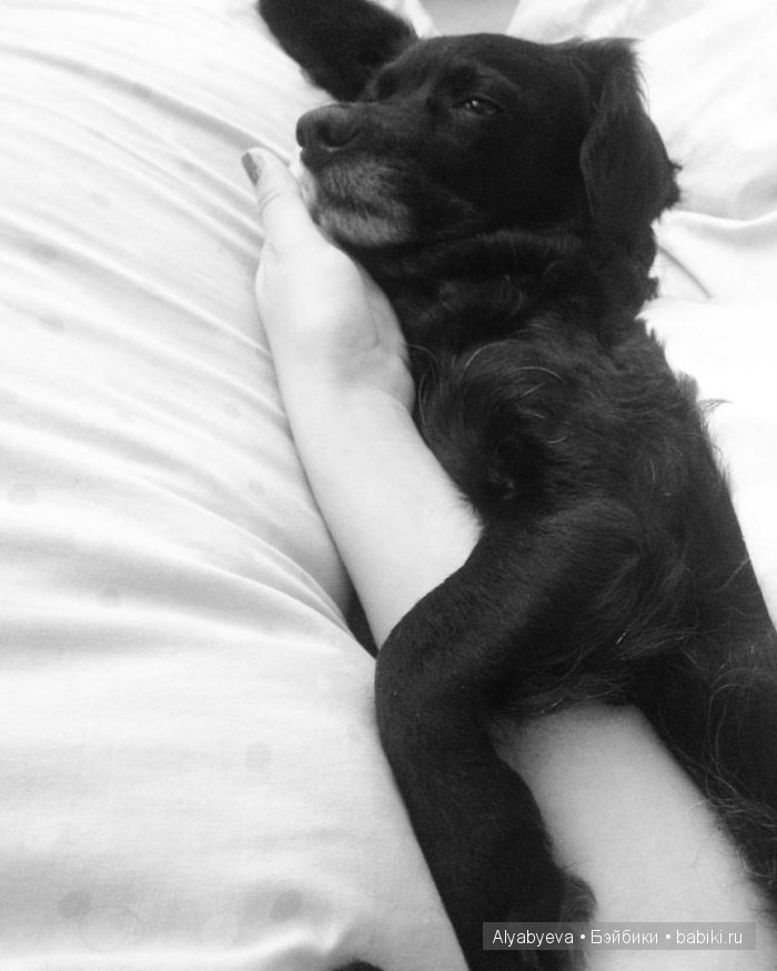 Ресницы для куклы. За несколько минут (фото 3)