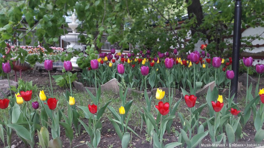 Машкины покатушки — Куклы Маша и Медведь (Simba): Маша в кармашке (фото 6)